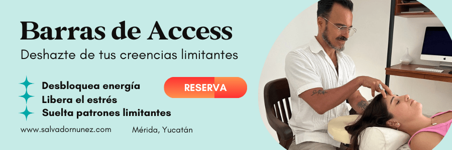 barras de access, terapias y certificaciones, clases en merida yucatan con salvador nunez