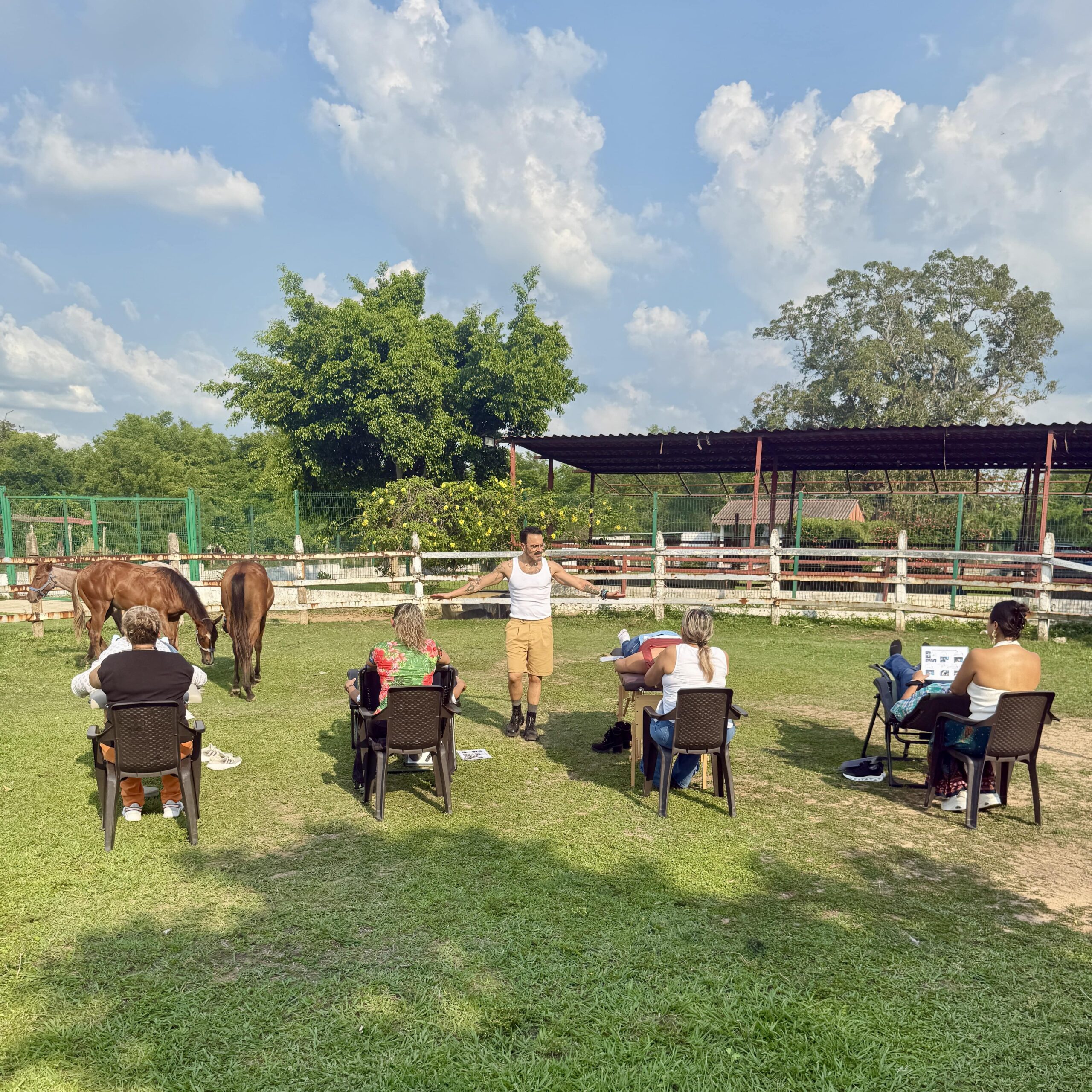 CERTIFICACION DE BARRAS DE ACCESS CON CABALLOS, IMPARTIDA POR SALVADOR NUNEZ