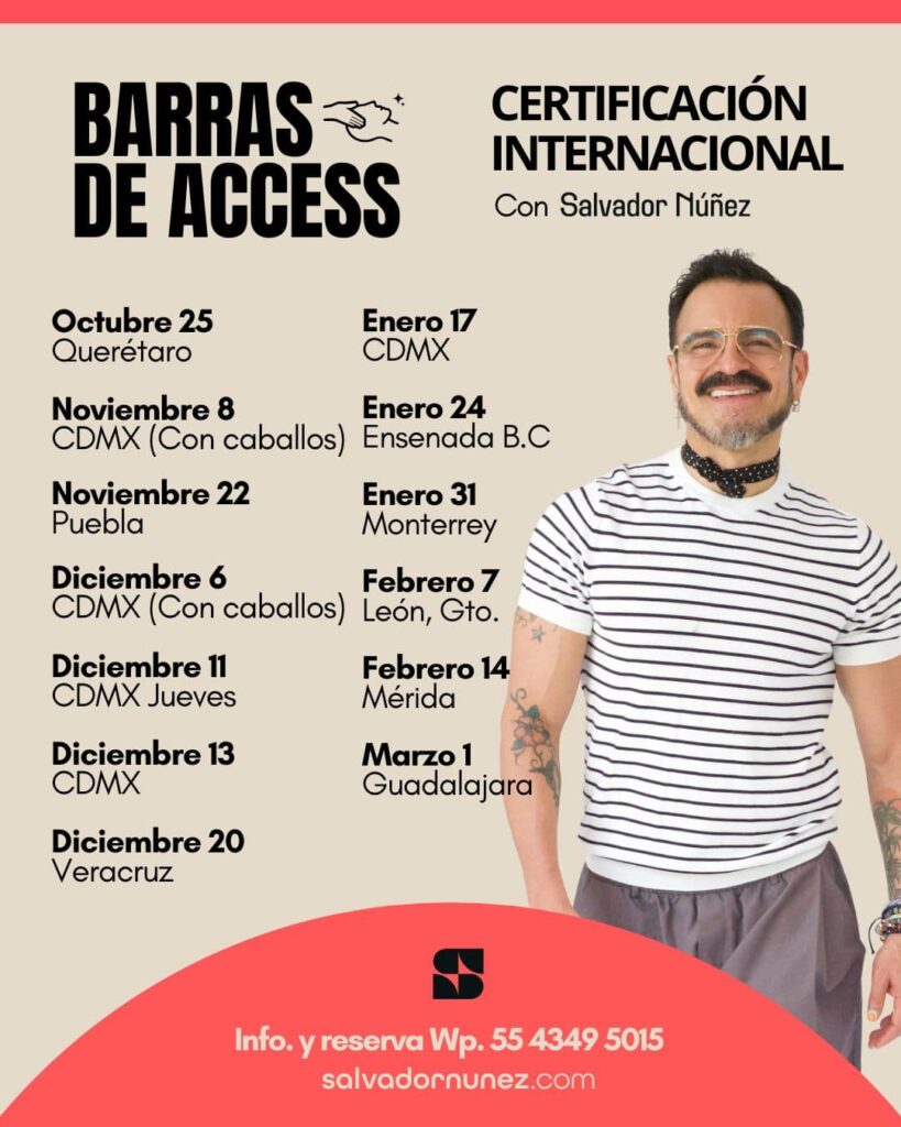 clases de barras de access, certificacion barras de access con salvador nunez
