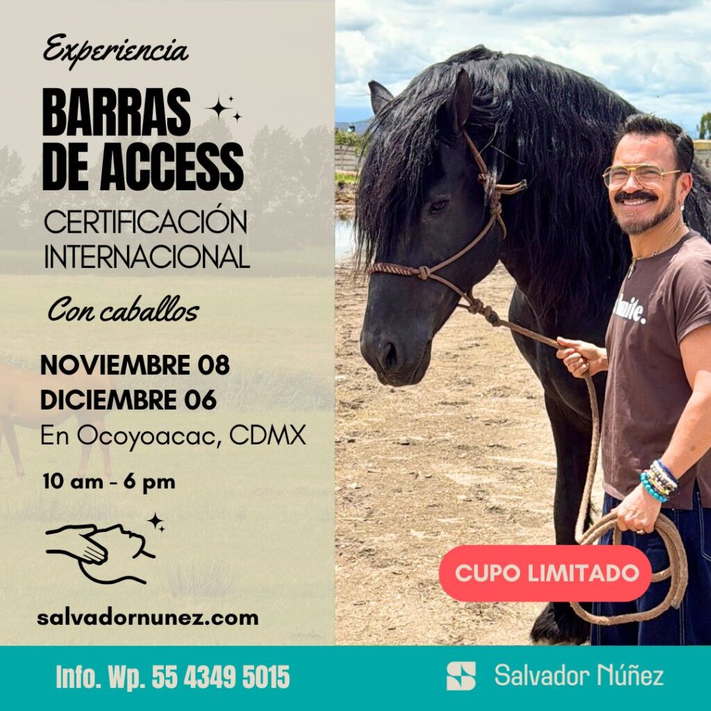 clase de barras de access con caballos en cdmx imparte salvador nunez